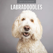 2027 square wall calendar featuring Labradoodles – thumbnail