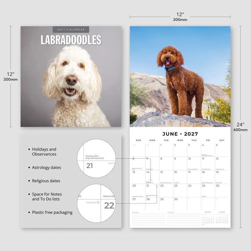 2027 Square Wall Calendar Labradoodles image 3