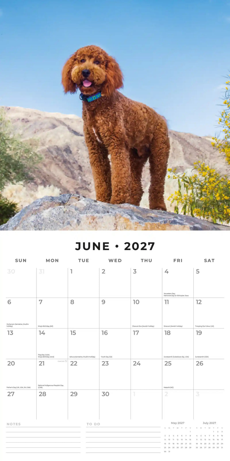 2027 Square Wall Calendar Labradoodles image 4