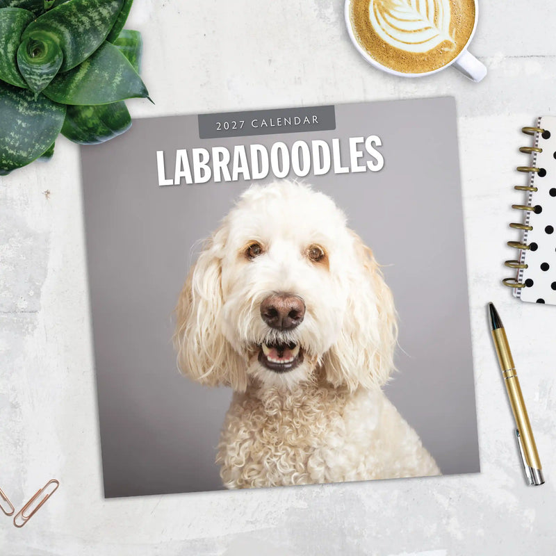 2027 Square Wall Calendar Labradoodles image 5