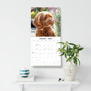 2027 Square Wall Calendar Labradoodles image 6 – thumbnail