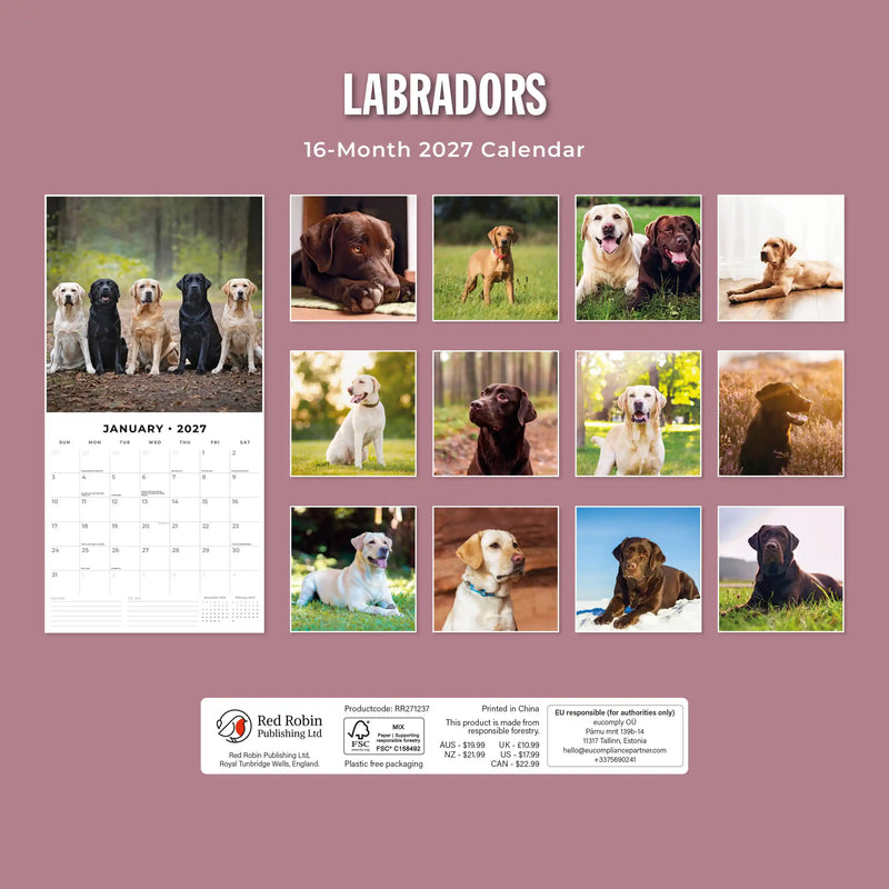 2027 Square Wall Calendar Labradors image 2