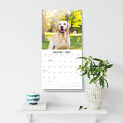 2027 Square Wall Calendar Labradors image 6 – thumbnail