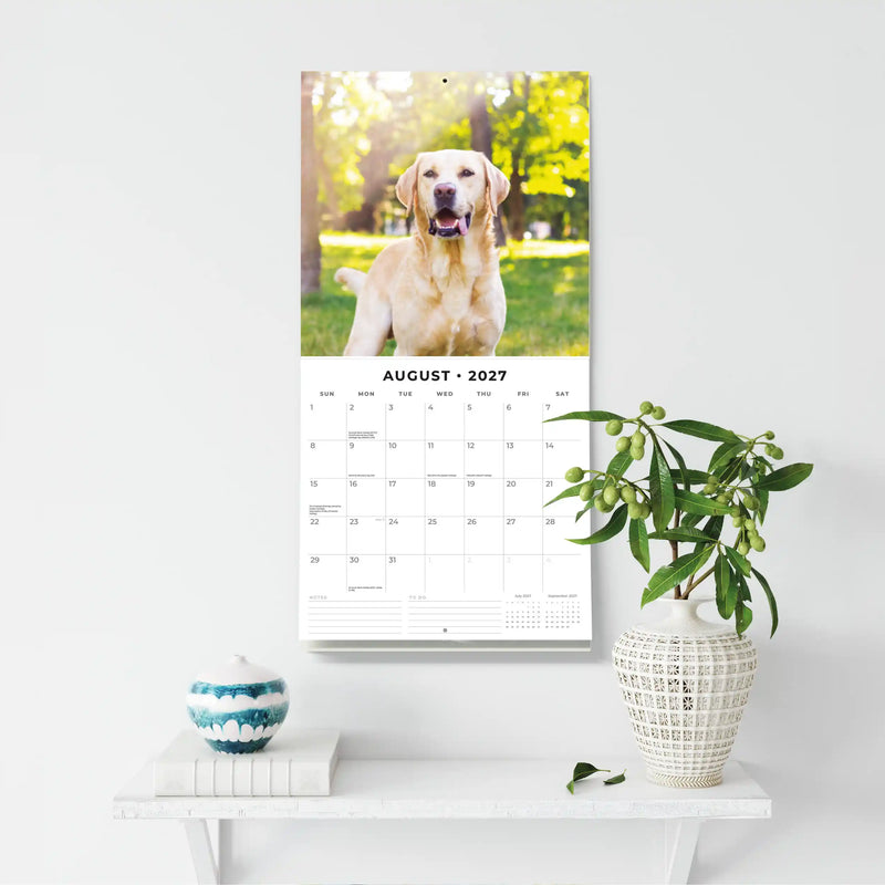 2027 Square Wall Calendar Labradors image 6