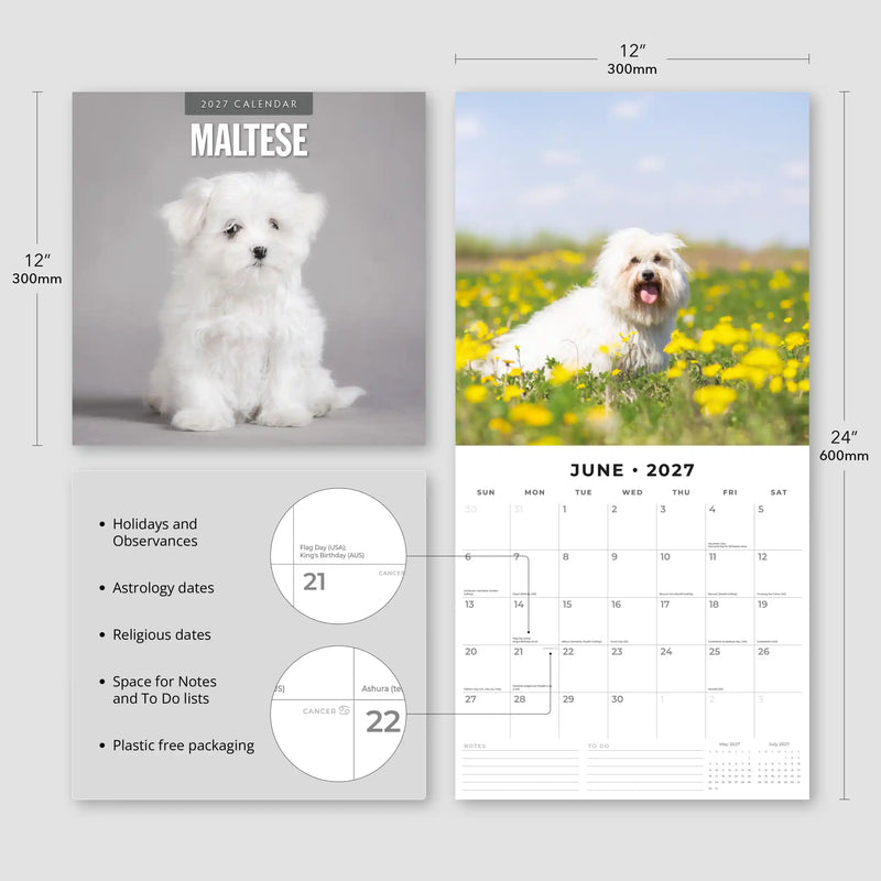 2027 Square Wall Calendar Maltese image 3