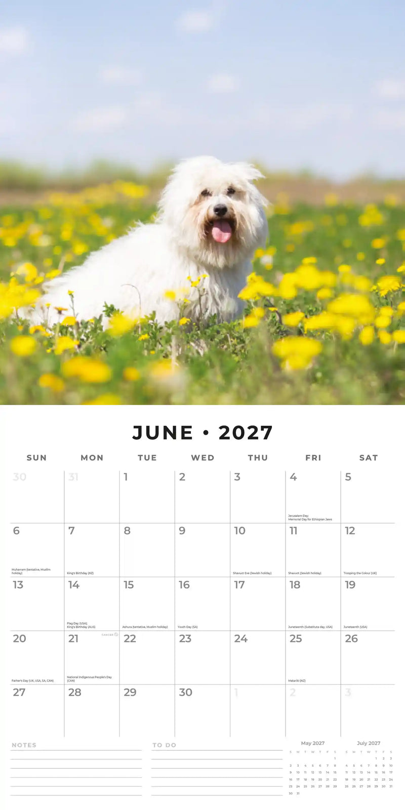 2027 Square Wall Calendar Maltese image 4