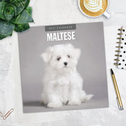 2027 Square Wall Calendar Maltese image 5 – thumbnail