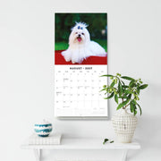 2027 Square Wall Calendar Maltese image 6 – thumbnail