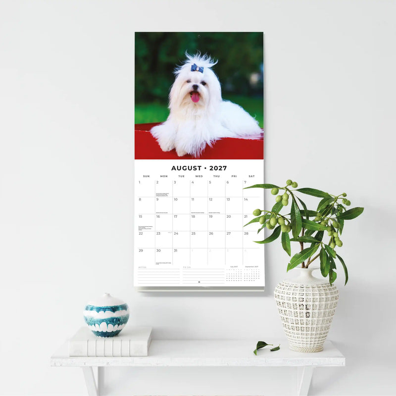 2027 Square Wall Calendar Maltese image 6