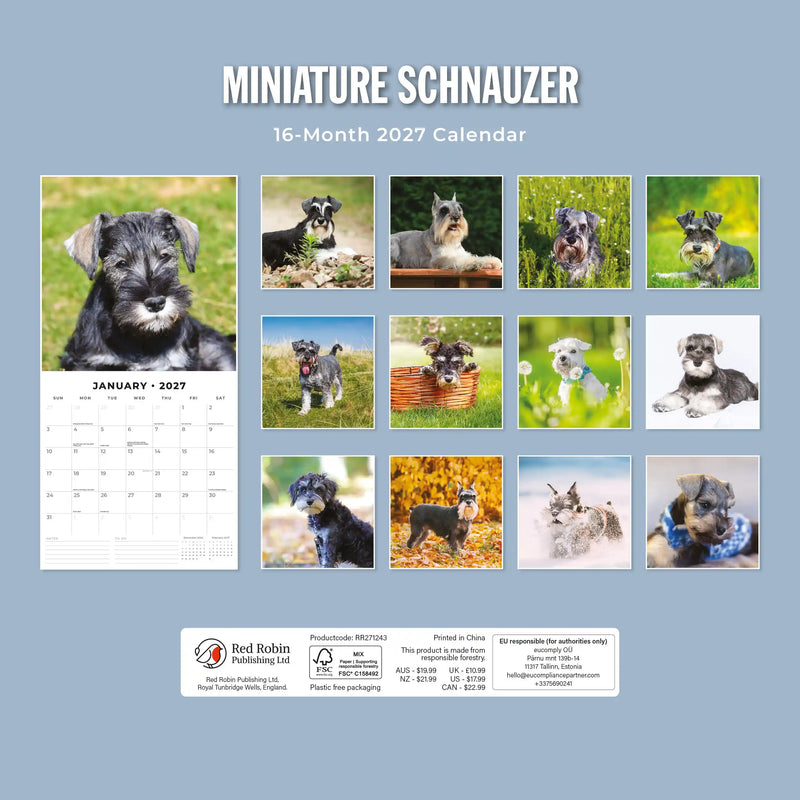 2027 Square Wall Calendar Miniature Schnauzer image 2