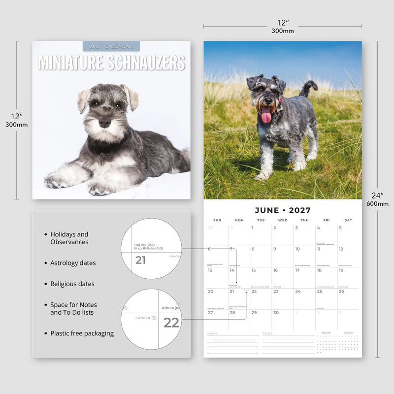 2027 Square Wall Calendar Miniature Schnauzer image 3