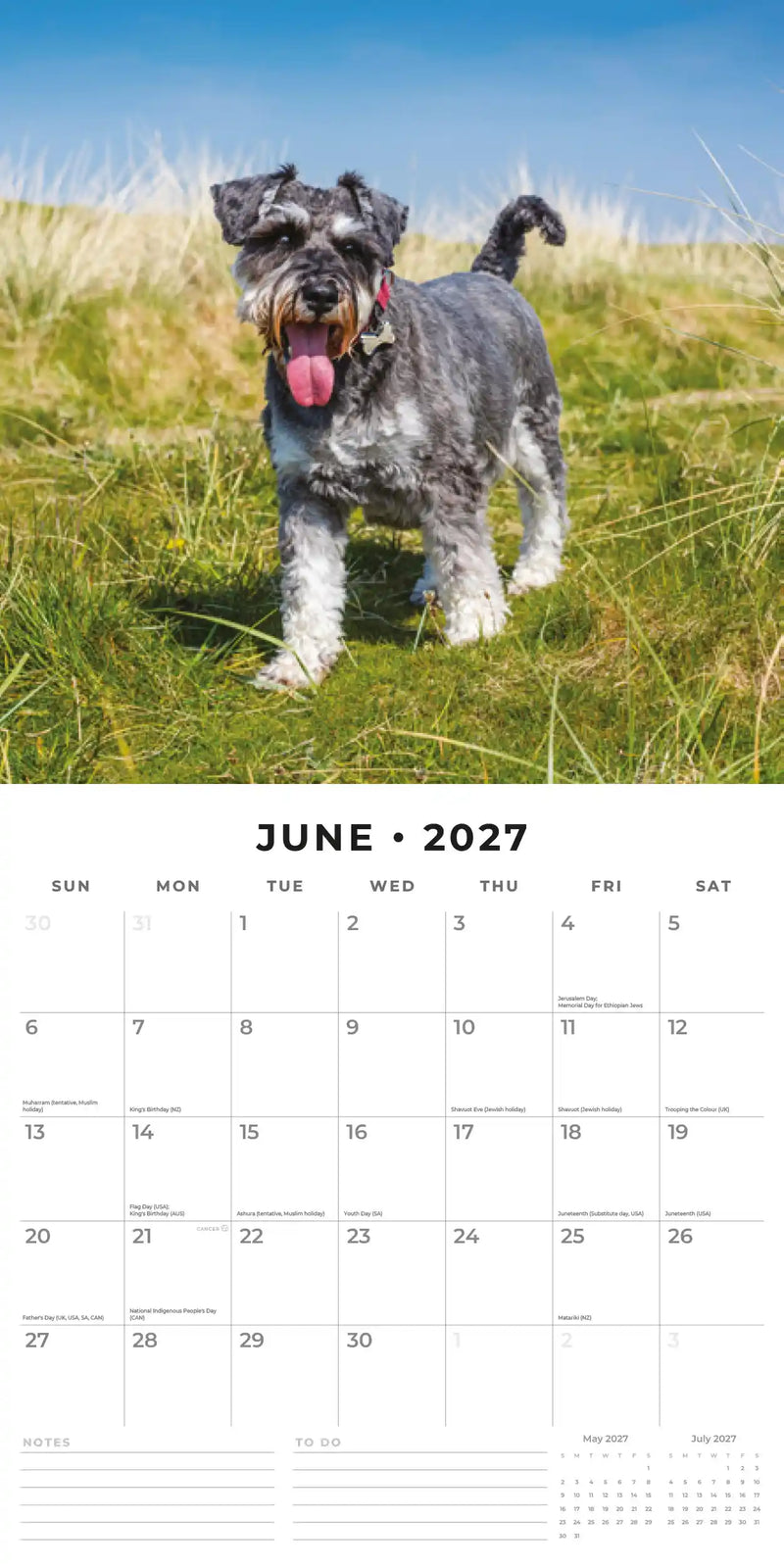 2027 Square Wall Calendar Miniature Schnauzer image 4