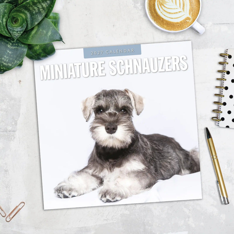 2027 Square Wall Calendar Miniature Schnauzer image 5