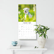 2027 Square Wall Calendar Miniature Schnauzer image 6 – thumbnail