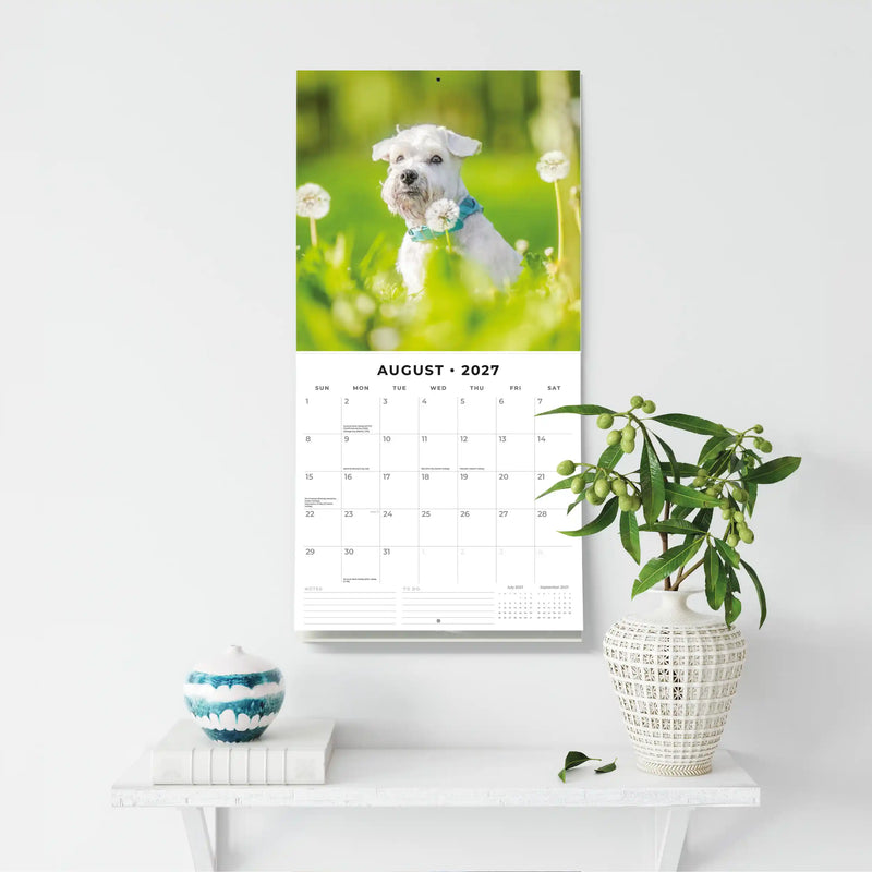 2027 Square Wall Calendar Miniature Schnauzer image 6