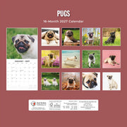 2027 Square Wall Calendar Pugs image 2 – thumbnail
