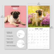 2027 Square Wall Calendar Pugs image 3 – thumbnail