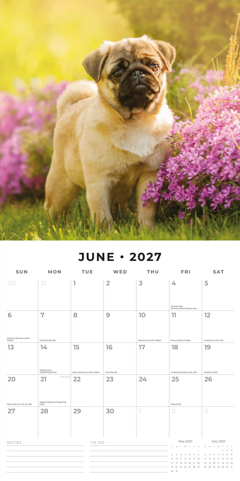 2027 Square Wall Calendar Pugs image 4