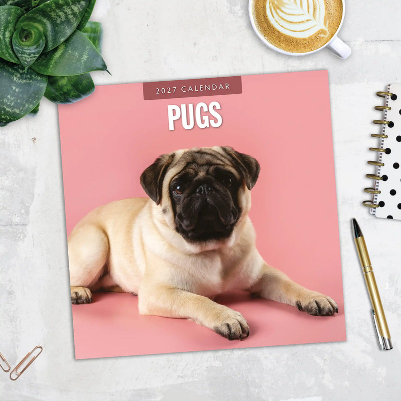 2027 Square Wall Calendar Pugs image 5
