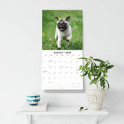 2027 Square Wall Calendar Pugs image 6 – thumbnail