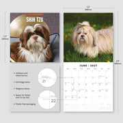 2027 Square Wall Calendar Shih Tzu image 3 – thumbnail