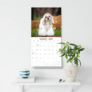 2027 Square Wall Calendar Shih Tzu image 6 – thumbnail
