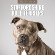 2027 square wall calendar featuring Staffordshire Bull Terriers – thumbnail