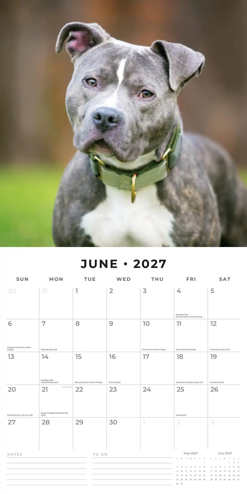 2027 Square Wall Calendar Staffordshire Bull Terriers image 4