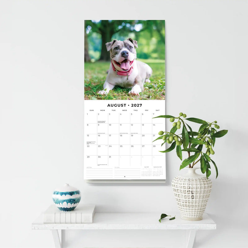 2027 Square Wall Calendar Staffordshire Bull Terriers image 6
