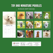 2027 Square Wall Calendar Toy and Miniature Poodles image 2 – thumbnail