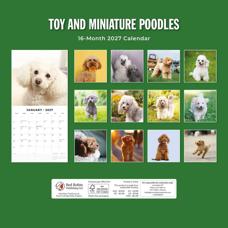 2027 Square Wall Calendar Toy and Miniature Poodles image 2