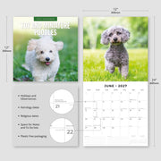 2027 Square Wall Calendar Toy and Miniature Poodles image 3 – thumbnail