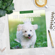2027 Square Wall Calendar Toy and Miniature Poodles image 5 – thumbnail