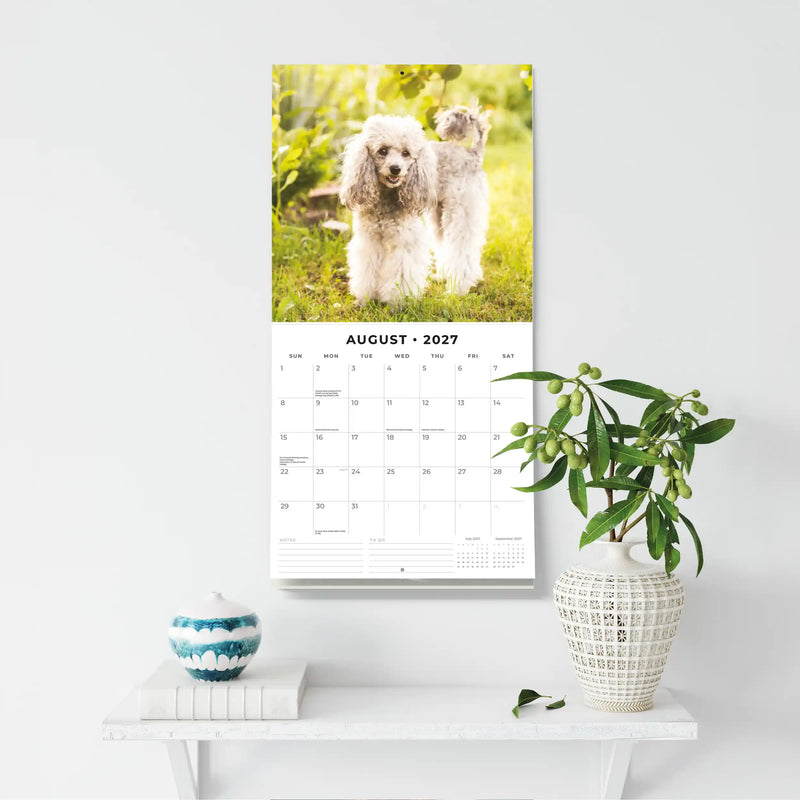 2027 Square Wall Calendar Toy and Miniature Poodles image 6