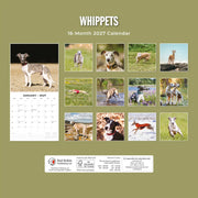 2027 Square Wall Calendar Whippets image 2 – thumbnail