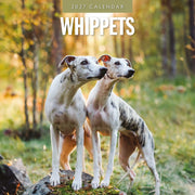 2027 square wall calendar featuring Whippets – thumbnail