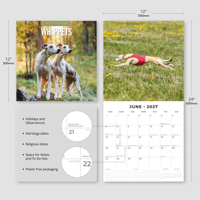 2027 Square Wall Calendar Whippets image 3