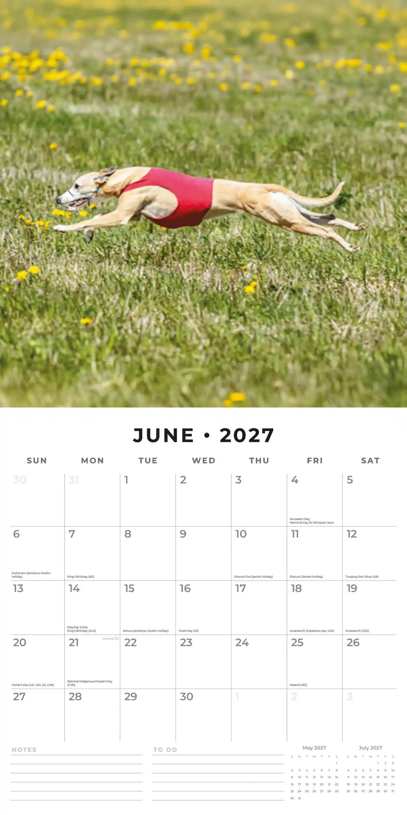 2027 Square Wall Calendar Whippets image 4