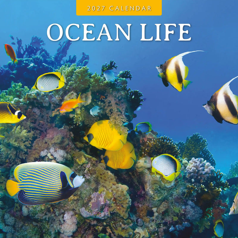 2027 Ocean Life square wall calendar with marine imagery