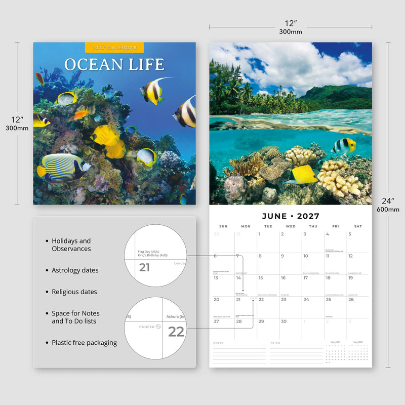 2027 Square Wall Calendar Ocean Life image 3