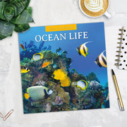 2027 Square Wall Calendar Ocean Life image 5 – thumbnail