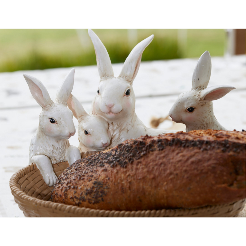 Ronis Rabbit Family Egg Bowl