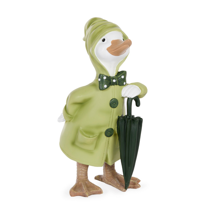 Ronis Rainy Duck Posing