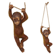 Ronis Realistic Hanging Orangutan
