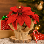 Red Poinsettia Flower Pot 26cm festive floral decoration for Christmas tabletops and home displays. – thumbnail