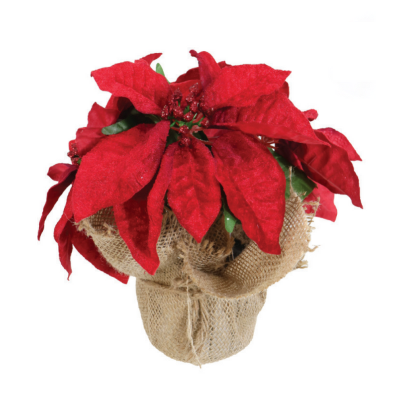Red Poinsettia Flower Pot 26cm festive floral decoration for Christmas tabletops and home displays.