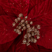 Ronis Red Velvet Poinsettia 28cmD with 50cm Stem