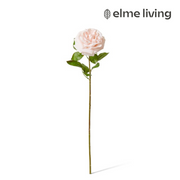 Ronis Rose Austin Stem (RT) Blush Pink 22x14x66cm