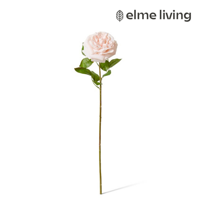 Ronis Rose Austin Stem (RT) Blush Pink 22x14x66cm