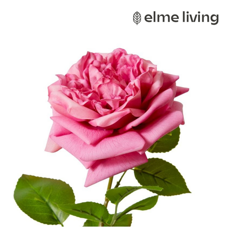 Ronis Rose Austin Stem (RT) Mauve 22x14x66cm